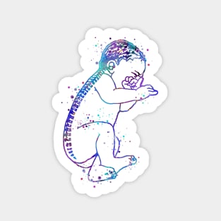 Anatomical Baby Watercolor Sticker